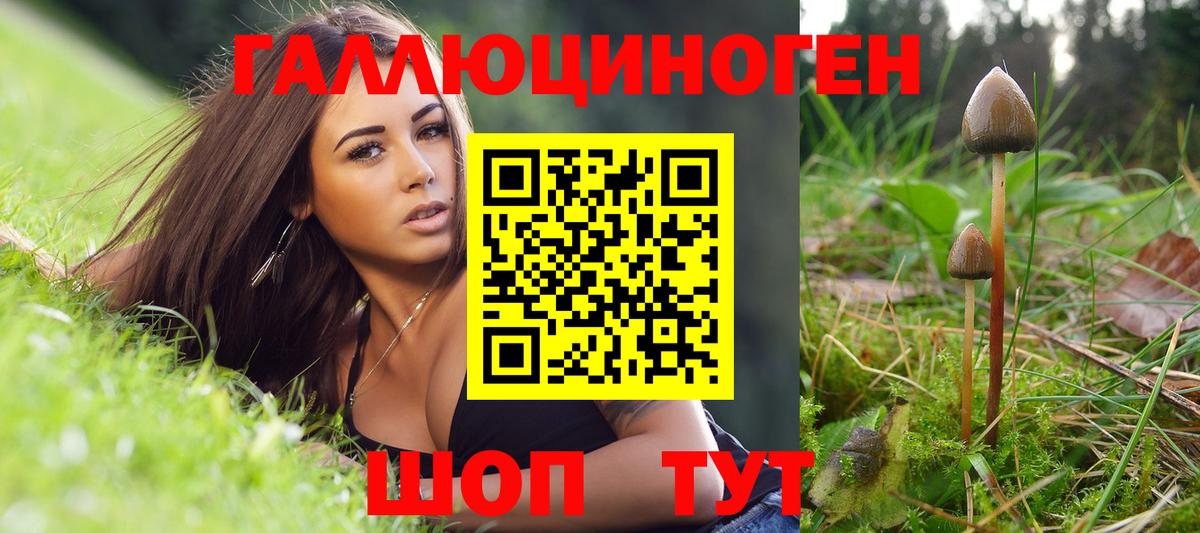 Псилоцибиновые грибы мухоморы Хабаровск